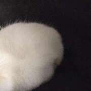 ヒメ日記 2025/10/01 19:40 投稿 イナ クラブハートDX