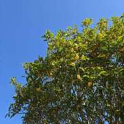 ヒメ日記 2025/10/02 23:10 投稿 イナ クラブハートDX