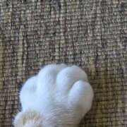 ヒメ日記 2025/10/03 09:30 投稿 イナ クラブハートDX