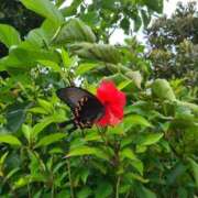 ヒメ日記 2025/11/14 15:40 投稿 イナ クラブハートDX