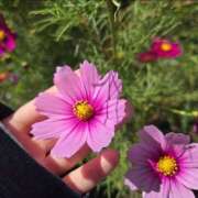 ヒメ日記 2025/11/21 16:50 投稿 イナ クラブハートDX