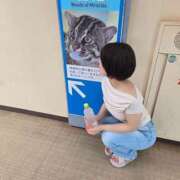 ヒメ日記 2025/11/22 11:50 投稿 イナ クラブハートDX