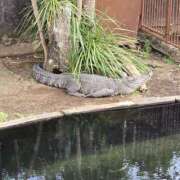 ヒメ日記 2025/12/02 15:31 投稿 イナ クラブハートDX