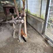 ヒメ日記 2025/12/16 10:40 投稿 イナ クラブハートDX