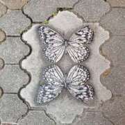 ヒメ日記 2025/12/27 20:20 投稿 イナ クラブハートDX