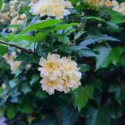 ヒメ日記 2026/02/06 13:50 投稿 イナ クラブハートDX