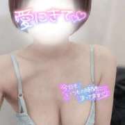 ヒメ日記 2025/10/12 10:04 投稿 まこと One More奥様　蒲田店