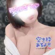 ヒメ日記 2026/04/11 11:51 投稿 まこと One More奥様　蒲田店