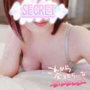 ヒメ日記 2026/04/21 10:21 投稿 まこと One More奥様　蒲田店