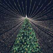 ヒメ日記 2024/12/21 20:56 投稿 みずほ(人妻) THE・TRY