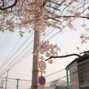 ヒメ日記 2025/04/25 21:13 投稿 みずほ(人妻) THE・TRY