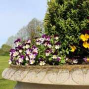 みずほ(人妻) ☆みずほ日記☆ THE・TRY