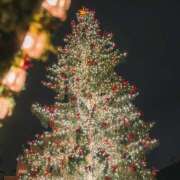 ヒメ日記 2025/12/19 20:13 投稿 みずほ(人妻) THE・TRY