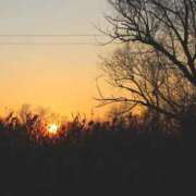 ヒメ日記 2026/01/09 20:10 投稿 みずほ(人妻) THE・TRY