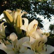 ヒメ日記 2026/08/15 20:05 投稿 みずほ(人妻) THE・TRY
