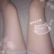 りの ❣✨重大お知らせ✨❣ ルピナス