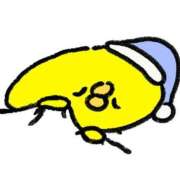 ヒメ日記 2025/03/04 10:52 投稿 るい お姉京都