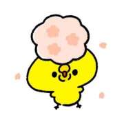 ヒメ日記 2025/03/06 19:52 投稿 るい お姉京都