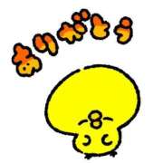 ヒメ日記 2025/03/09 05:31 投稿 るい お姉京都