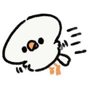 ヒメ日記 2025/03/26 05:21 投稿 るい お姉京都