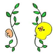 ヒメ日記 2025/04/24 05:24 投稿 るい お姉京都