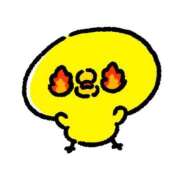 ヒメ日記 2025/05/05 11:02 投稿 るい お姉京都