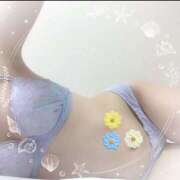 ヒメ日記 2025/03/07 07:16 投稿 百合花【ゆりか】 輝女