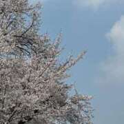 たまき 4月2日🌸 ビデオDEはんど 名古屋校