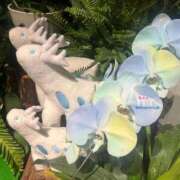 ヒメ日記 2025/10/29 18:45 投稿 さや【マットヘルス限定】 ファッションヘルス カリスマ