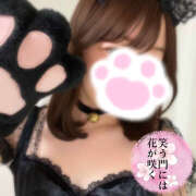 ヒメ日記 2025/02/23 00:48 投稿 えみか かりんと神田