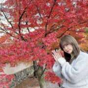 ヒメ日記 2025/12/04 22:21 投稿 元単体セクシー女優『かすみ』 GOOD-グッド-