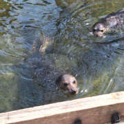ヒメ日記 2025/05/02 08:38 投稿 ゆうな 恋愛マット同好会