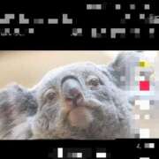 ヒメ日記 2026/01/09 21:58 投稿 ゆうな 恋愛マット同好会