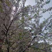 ヒメ日記 2026/04/27 16:08 投稿 ゆうな 恋愛マット同好会