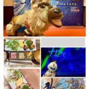 うらら お友達と⛄️氷と魔法の王国へ🦌❄️ 人妻ちゃんねる