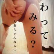 ヒメ日記 2025/03/02 00:46 投稿 はな 人妻ちゃんねる