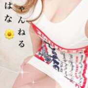 はな おっぱい好き？💗 人妻ちゃんねる