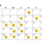 はな 5月シフト🌼 人妻ちゃんねる