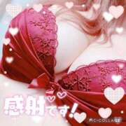 舞原ひろの お礼 プルデリR40