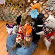 ヒメ日記 2025/02/25 04:44 投稿 小森 うた Prae(プラエ)