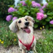 ヒメ日記 2025/06/11 14:13 投稿 小森 うた Prae(プラエ)