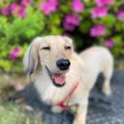 ヒメ日記 2025/07/01 07:42 投稿 小森 うた Prae(プラエ)