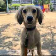 ヒメ日記 2025/08/30 15:00 投稿 小森 うた Prae(プラエ)