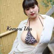 ヒメ日記 2025/10/17 09:40 投稿 小森 うた Prae(プラエ)