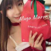 ヒメ日記 2024/12/25 11:26 投稿 まろん 無我（むが）