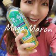 ヒメ日記 2024/12/26 09:41 投稿 まろん 無我（むが）