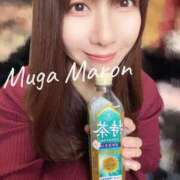 ヒメ日記 2025/01/07 11:58 投稿 まろん 無我（むが）