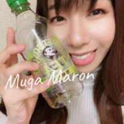 ヒメ日記 2025/02/10 09:40 投稿 まろん 無我（むが）