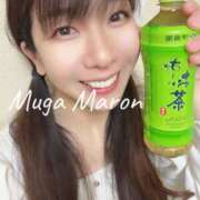 ヒメ日記 2025/02/16 21:43 投稿 まろん 無我（むが）