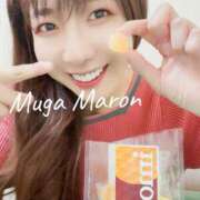 ヒメ日記 2025/03/25 09:38 投稿 まろん 無我（むが）